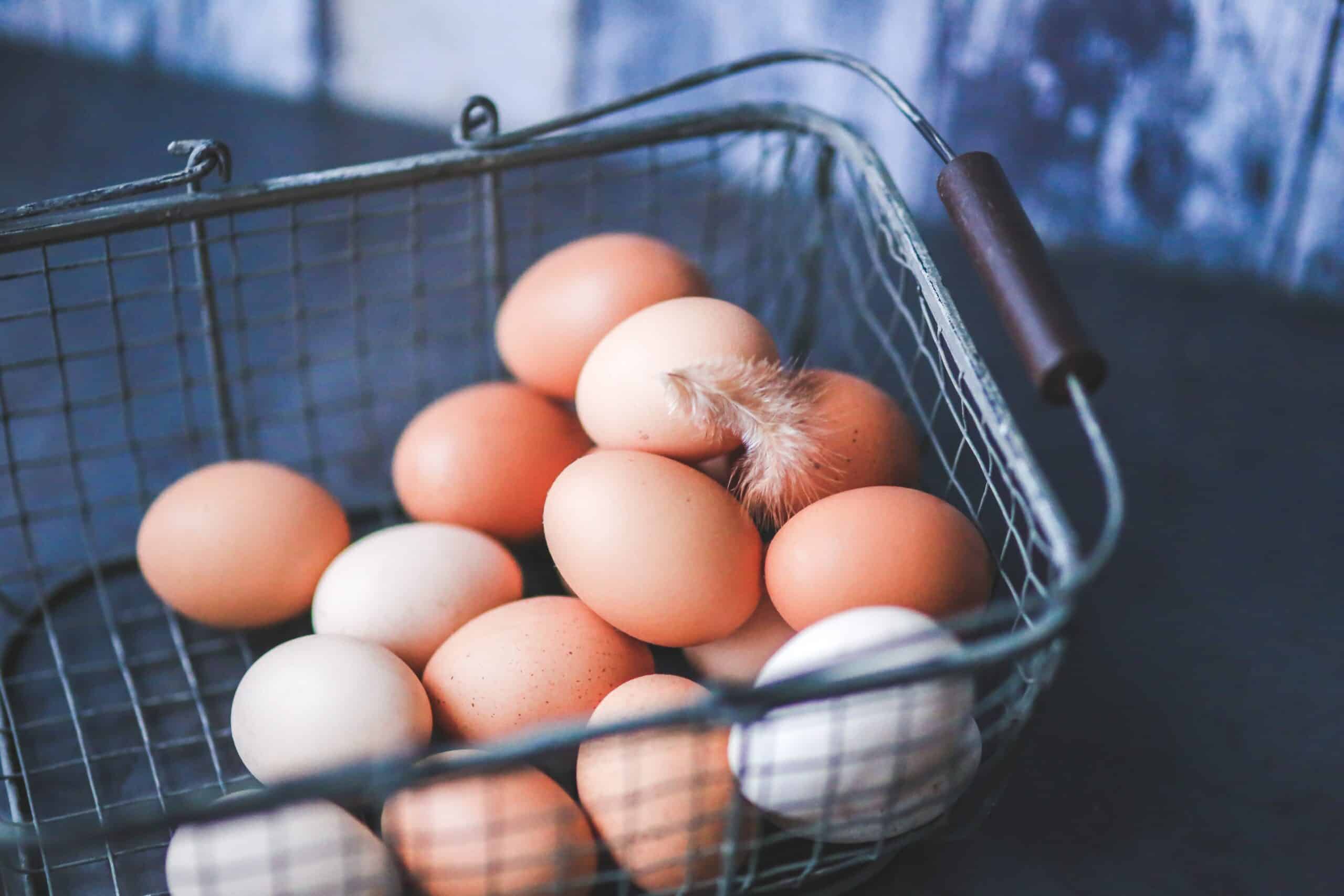 Cholesterol veroorzaakt geen hart- en vaatziekten